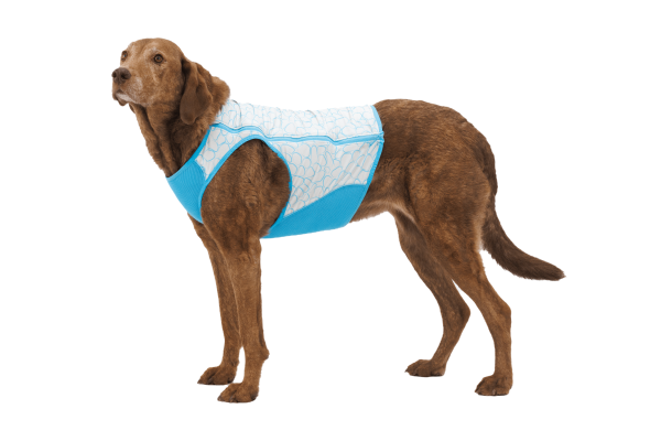 Ruffwear Swamp Cooler Zip Vest Biolumin Blue Gr. XXS Ruffwear Swamp Cooler Zip Vest Biolumin Blue Gr. XXS